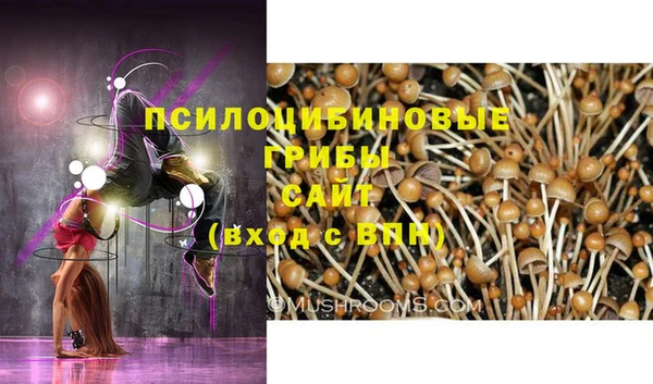 мескалин Богданович